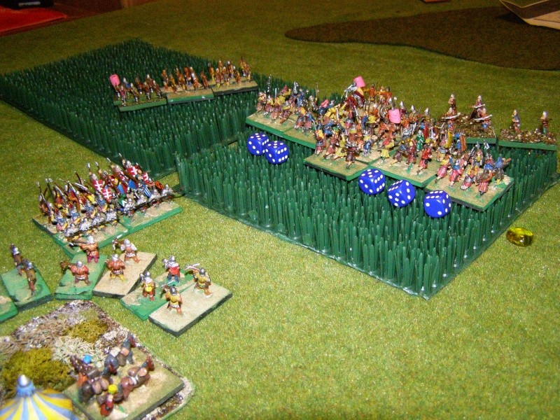 Field of Glory P3180312