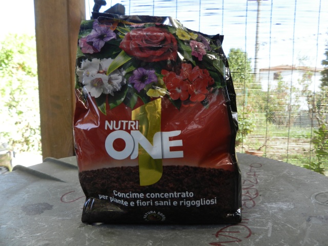 Prima margotta di melograno!!!aspetto tutti i vostri consigli!!!!! Dscn4017