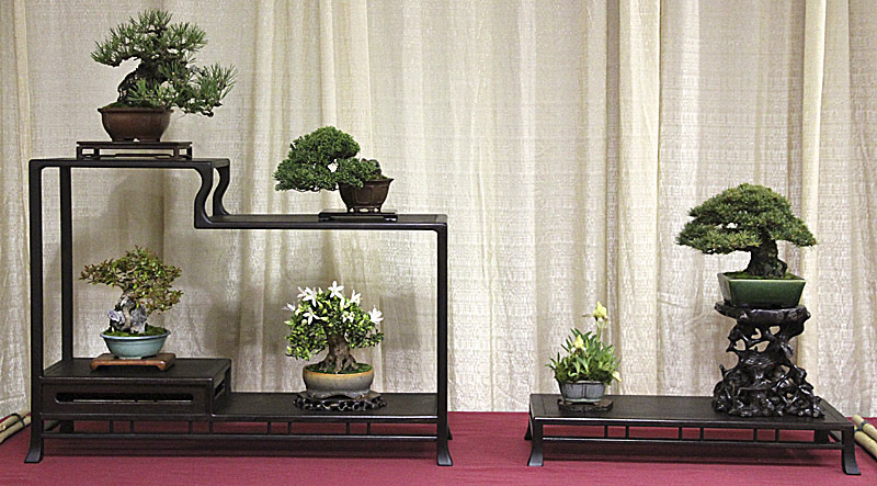 2013 MID ATLANTIC SPRING FESTIVAL EXHIBIT... Shohin11