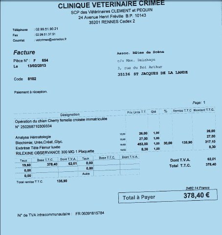 Appel aux dons pour payer l'opération de Cherry Plum [clos] 2013-012