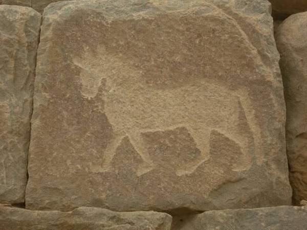 مدينة الأخدود الأثرية في نجران T610