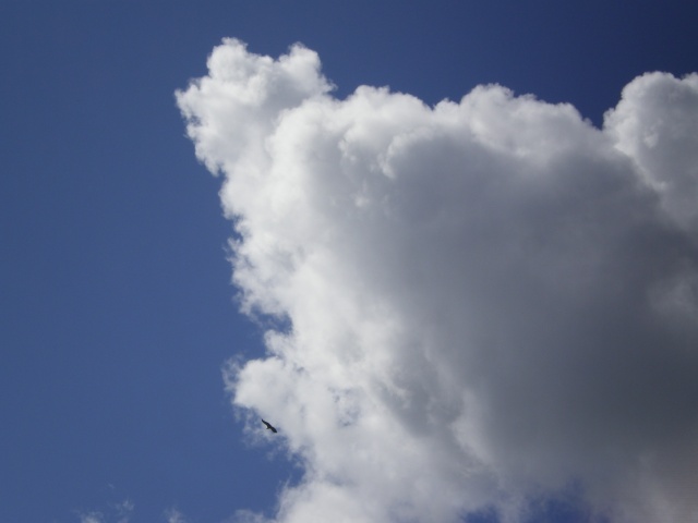 nuages - Photos de nuages Imgp0410