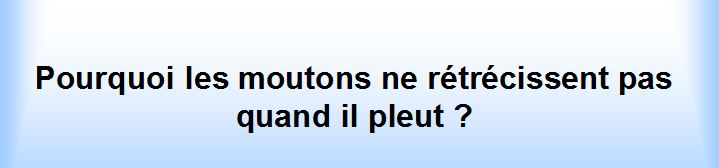 HUMOUR : Petites phrases, pensées, réflexions.... - 1 - Page 13 0_phra22