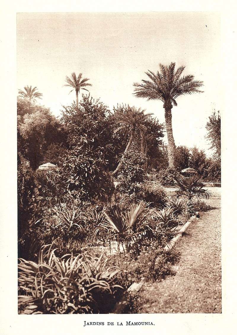 La Féerie Marocaine - Page 4 Scan_717