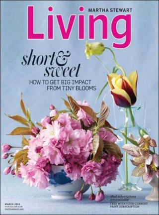 FREE Martha Stewart Living Magazine Subscription 7149-m10