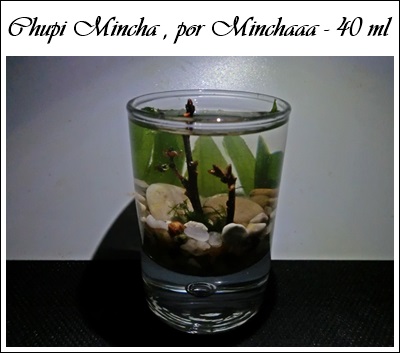 [Votaciones] 2º entrega del Concurso - Mini acuarios Cimg5010