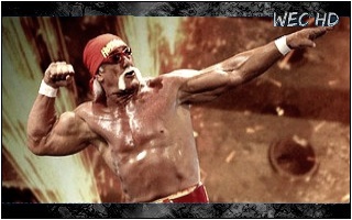 Hulk Hogan Hulk_h10