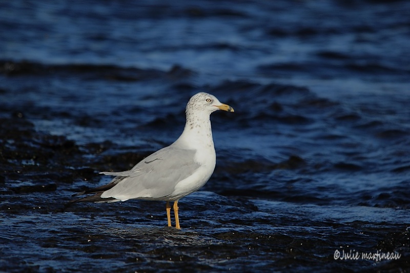 Aujourd`hui Img_8714