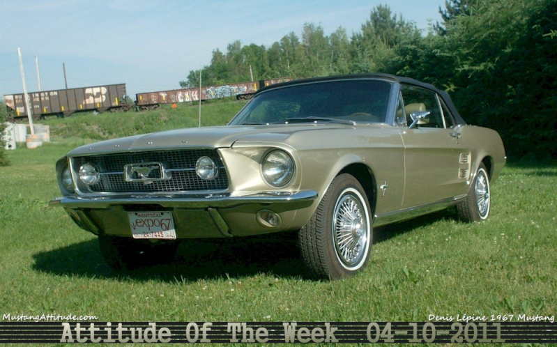  Plusieurs photos : Ford Mustang ...de 1967 à 1968 Denis_10