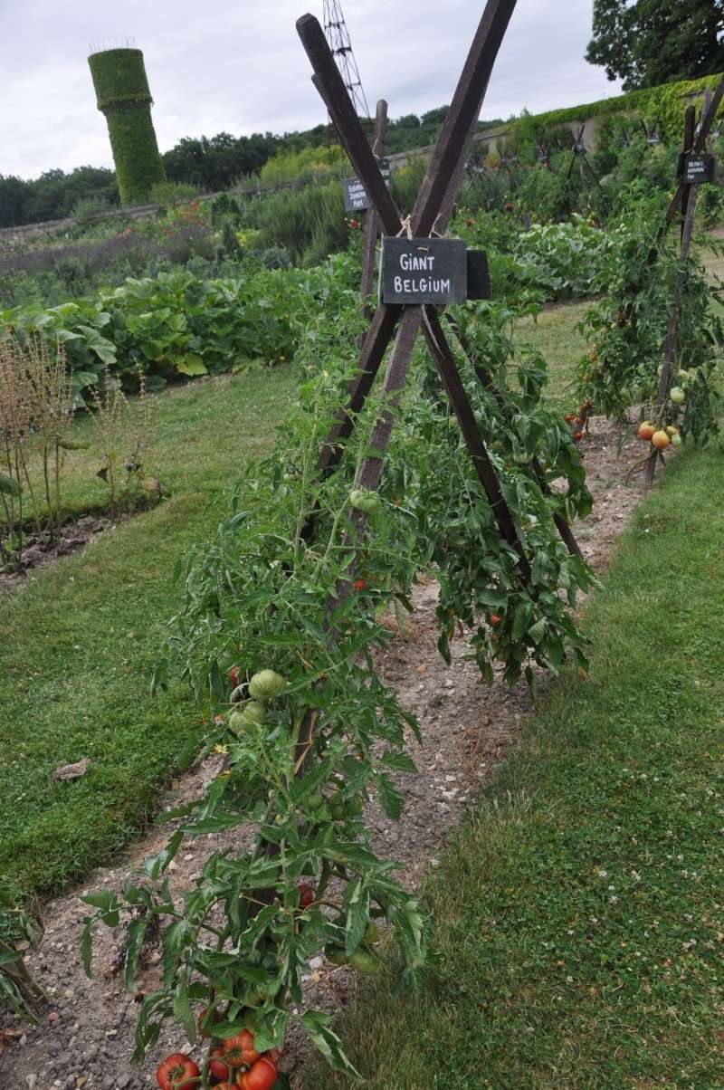 (la bourdaisieres) monlouis sur loire 37 Alverg18