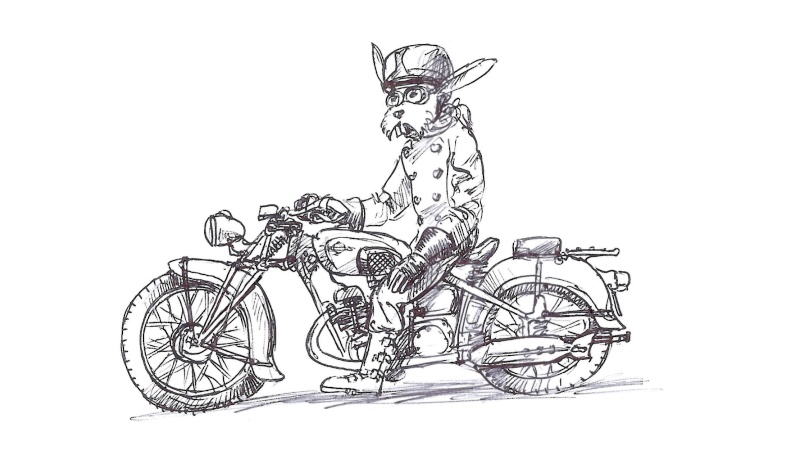 Moto-rabbit ou la petite histoire des lapins en moto. Grandp10