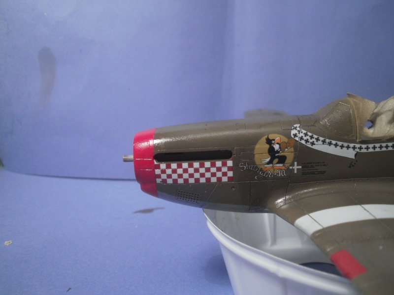 N.A P51B Mustang 1/48 - Page 2 P8090010