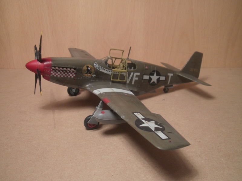 N.A P51B Mustang 1/48 - Page 2 P8100010