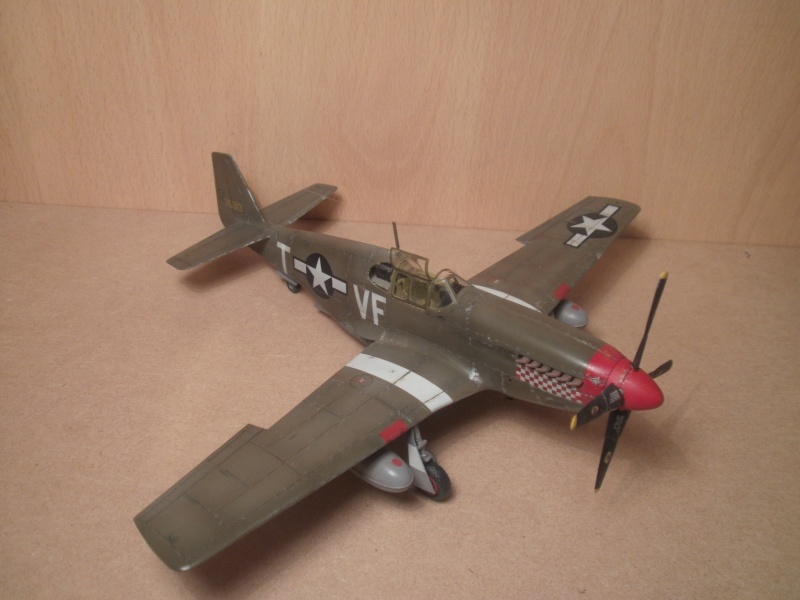 N.A P51B Mustang 1/48 - Page 3 P8100011