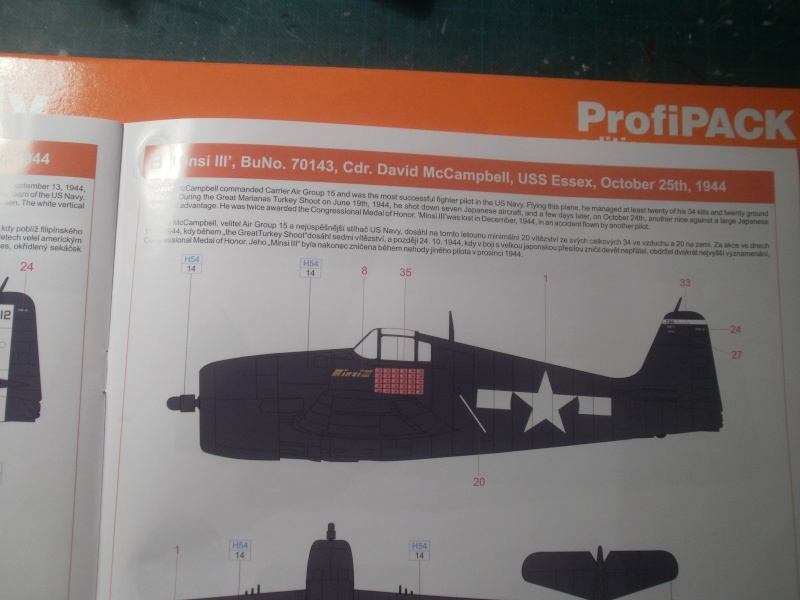 F6F-5 HELLCAT 1/48 P8100013