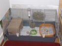 Habitation des lapins : exemples de cages, enclos ... - Page 18 Dscf7018