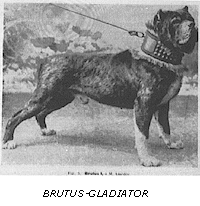 La storia del dogue de bordeuax  Ajalug10