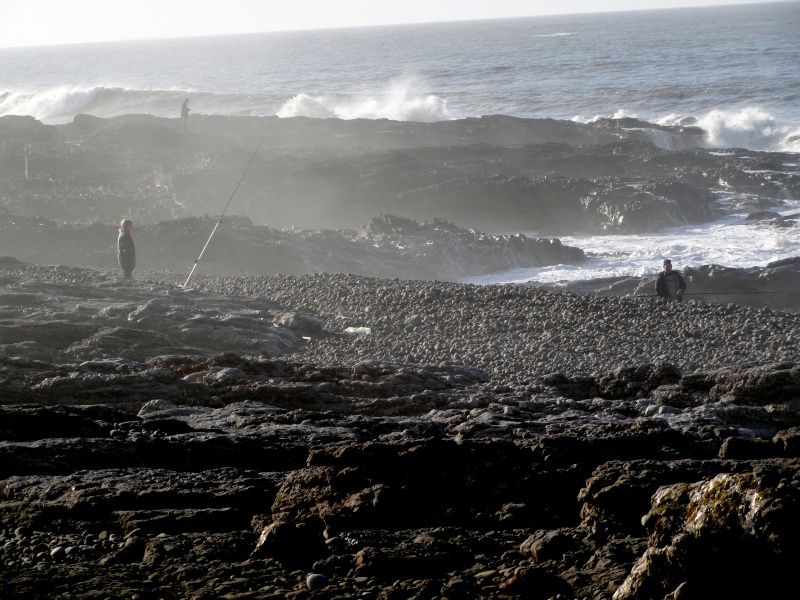 OGMORE-BY-SEA  Dsc01514