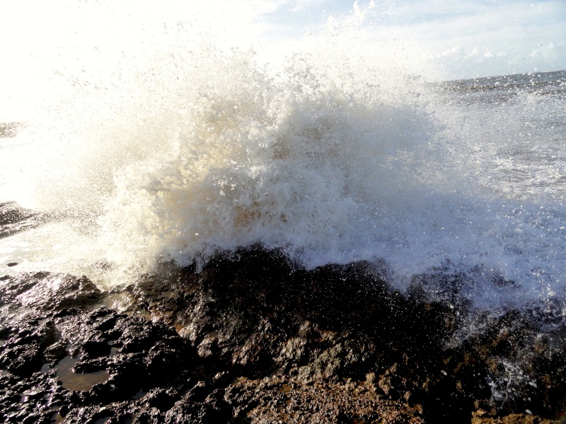 OGMORE-BY-SEA  Dsc01521