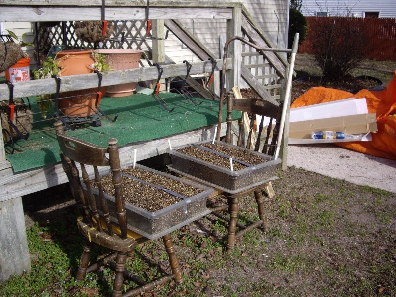 I'm making progress and gardens Chair_11