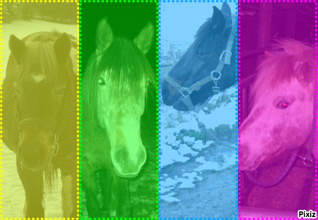 montages photos avec ma dream team <3 Pixiz_15