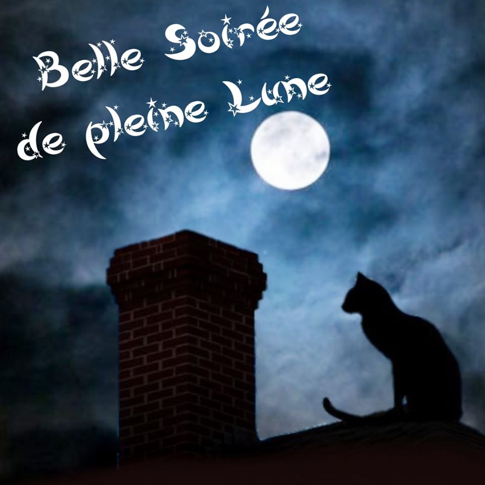 PLEINE LUNE MENSUELLE DE MICHA  Pleine10