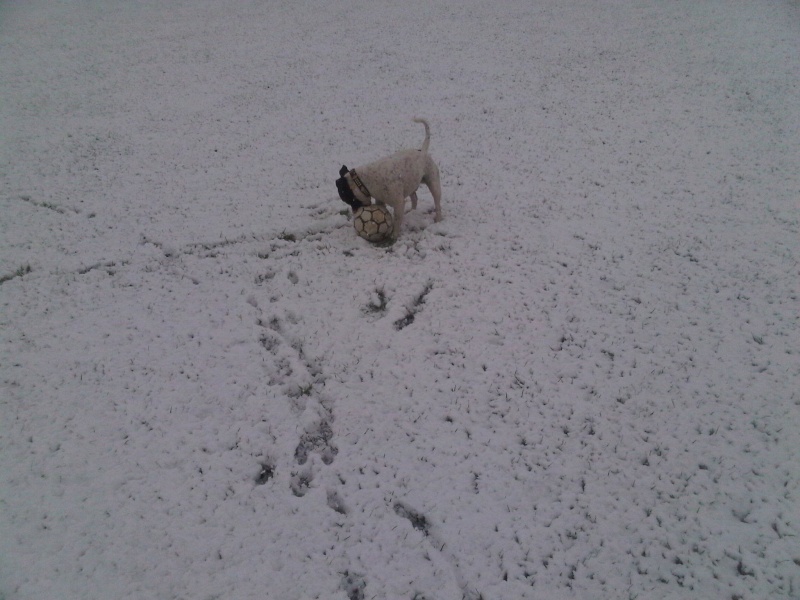 bodey and his free football in the snow Img00118