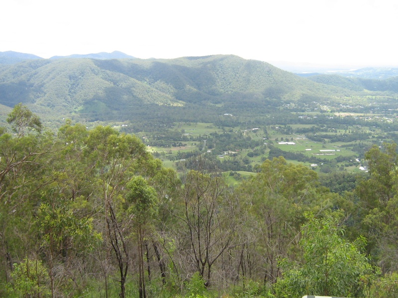 mount nebo -mount glorious.. a mountian ride just on the edge of our capitol city  Pictur26