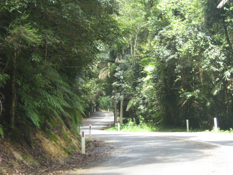 mount nebo -mount glorious.. a mountian ride just on the edge of our capitol city  Pictur29