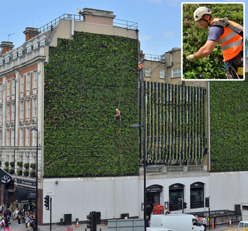 Super Sewer: Why does London need the Thames Tideway Tunnel? Living10