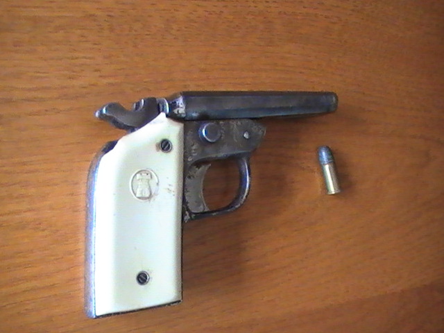 Pistolet Brésilien Pic_1713