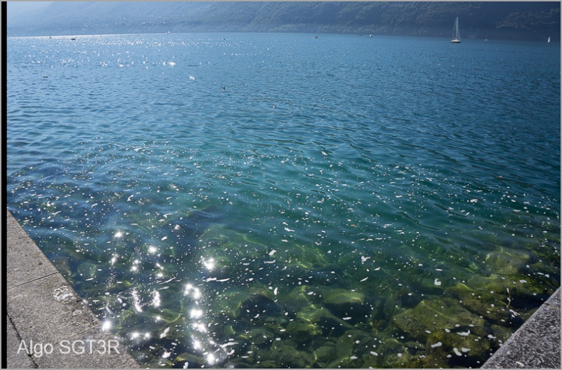 Cr d'une balade beaucoup moins exotique Le Lac du Bourget Aix-le27