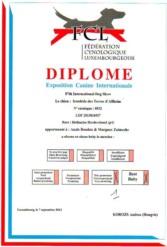 Ironhide des Terres d'Aflheim (BHPL) - Page 3 99864610