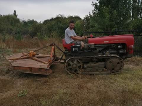 Massey Ferguson 44 Receiv18