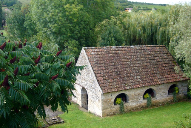 Un toit tout neuf pour le lavoir de Jeune fontaine P1120310