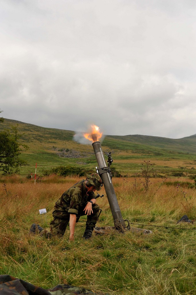 Armée Irlandaise/Irish Armed Forces - Page 2 1a1115