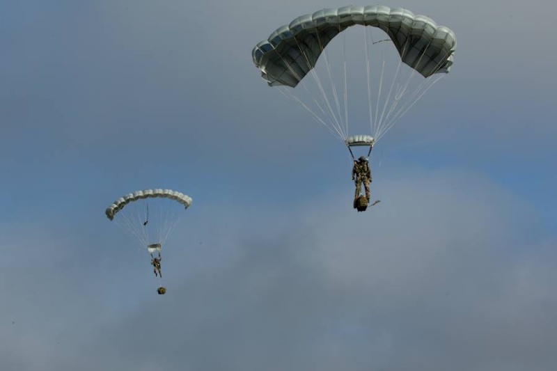 Armée Française / French Armed Forces - Page 29 1a433