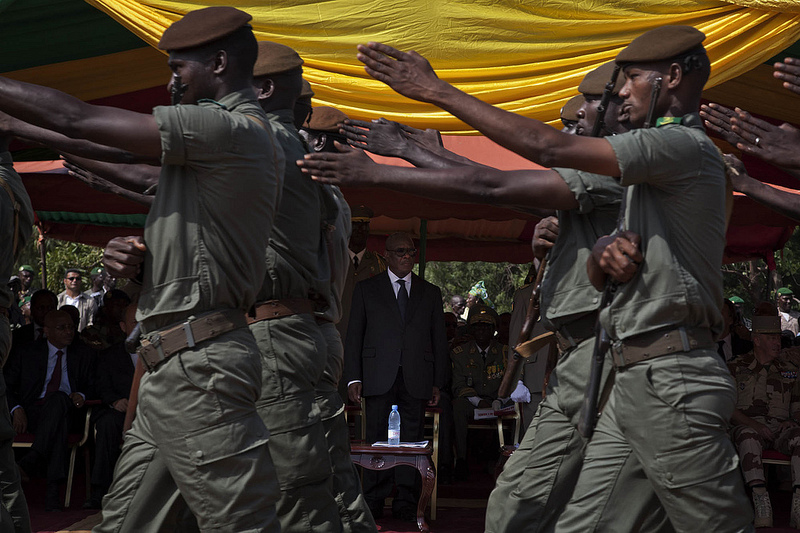 Armée Malienne / Armed and Security Forces of Mali - Page 9 M610