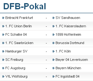 DFB-Pokal 2013/14  Dfb11