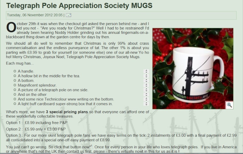 The Telegraph Pole Appreciation Society Cup10