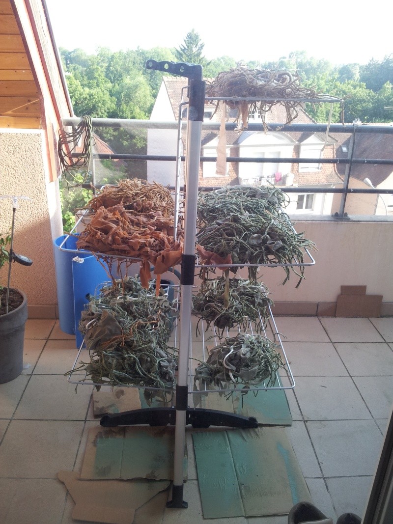 Ghillie made in Elsass 20130712
