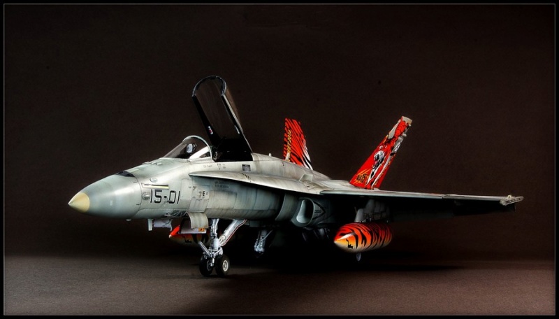 EF-18AM Spanish Air Force 1/48 Kinetic. - Page 2 Dsc01210