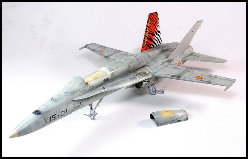  EF-18AM Spanish Air Force 1/48 Kinetic. - Page 2 Dsc04242