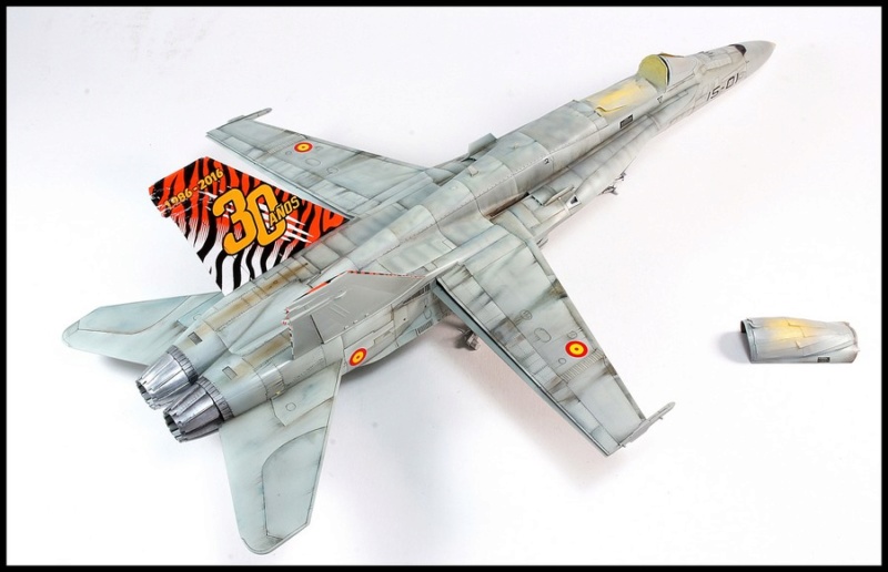  EF-18AM Spanish Air Force 1/48 Kinetic. - Page 2 Dsc04244