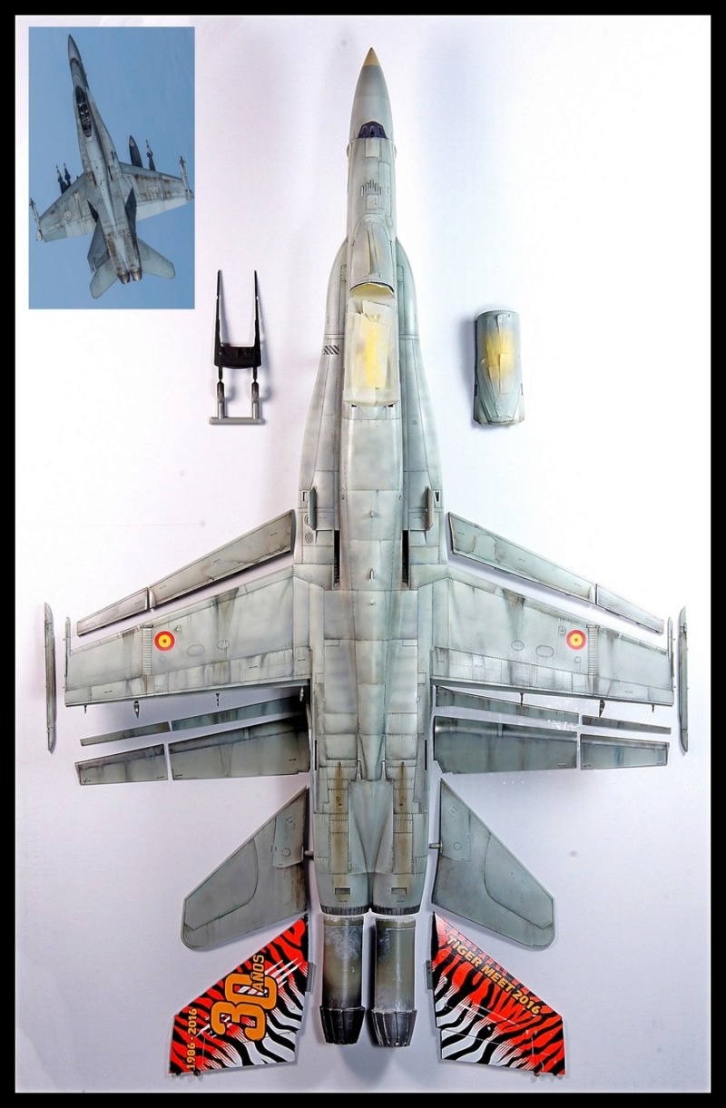 EF-18AM Spanish Air Force 1/48 Kinetic. - Page 2 Dsc04245