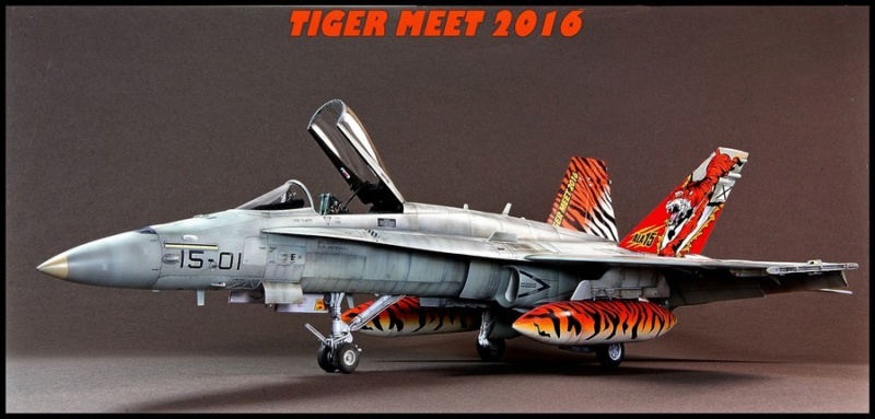 EF-18AM Spanish Air Force 1/48 Kinetic. - Page 2 Dsc04248