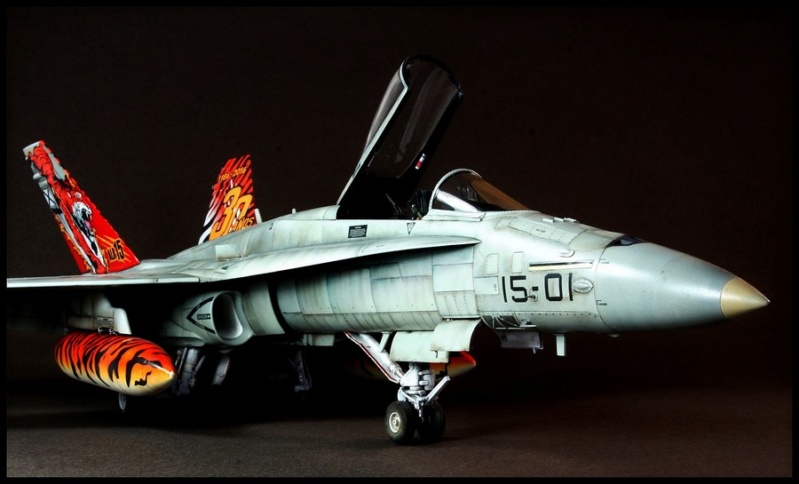EF-18AM Spanish Air Force 1/48 Kinetic. - Page 2 Dsc04250