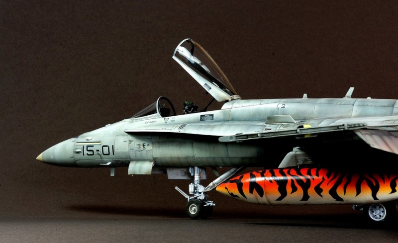 EF-18AM Spanish Air Force 1/48 Kinetic. - Page 2 Dsc04251