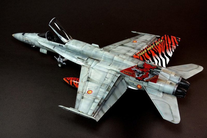 EF-18AM Spanish Air Force 1/48 Kinetic. - Page 2 Dsc04252