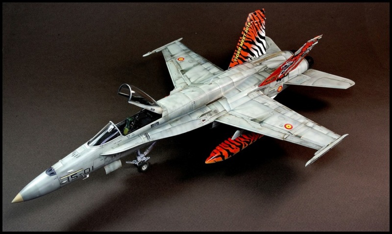 EF-18AM Spanish Air Force 1/48 Kinetic. - Page 2 Dsc04253